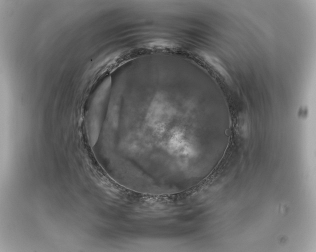 X0000092091015200709121508