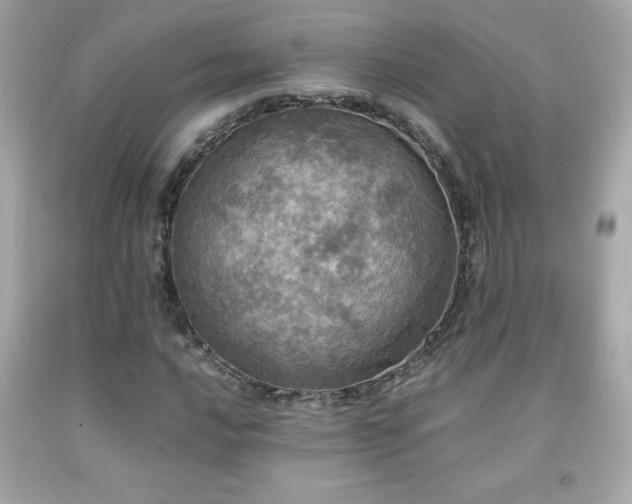 X0000092091016200709121508
