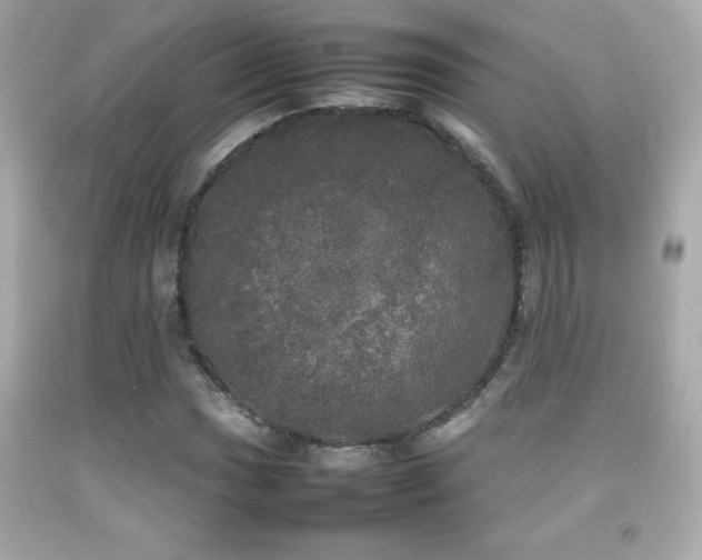X0000092091017200709121508