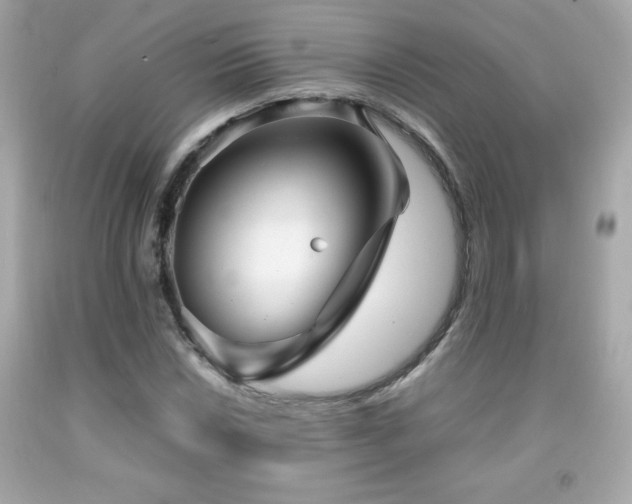 X0000092091018200709121508