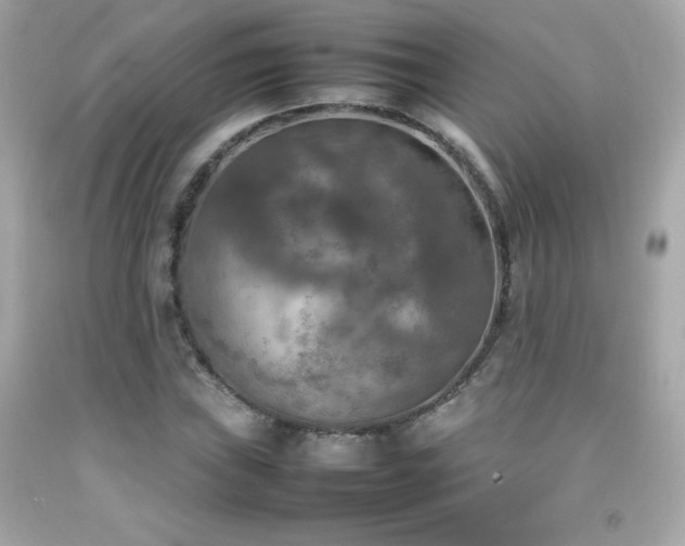 X0000092091019200709121508