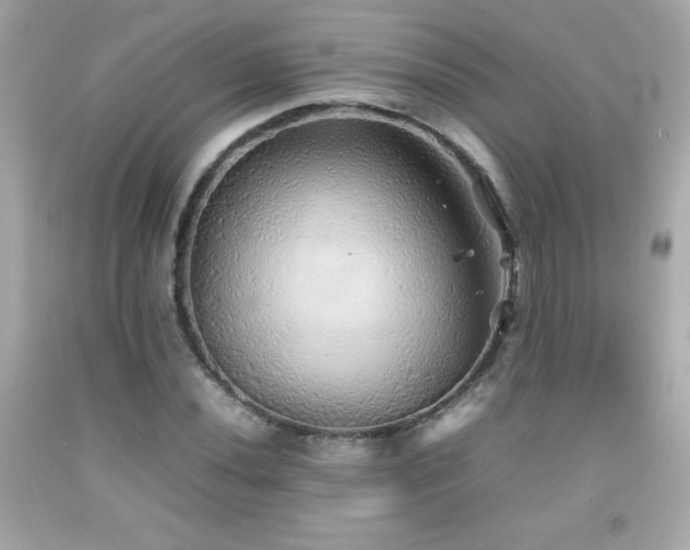 X0000092091020200709121508