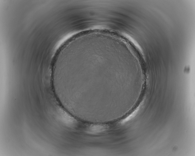 X0000092091021200709121508