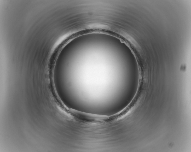 X0000092091022200709121508