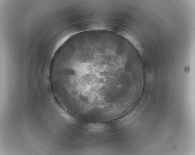 X0000092091023200709121508