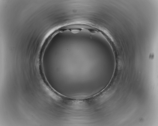 X0000092091024200709121508