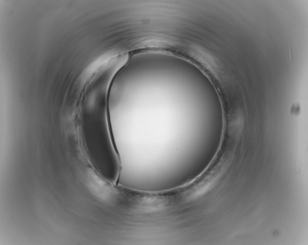 X0000092091026200709121508