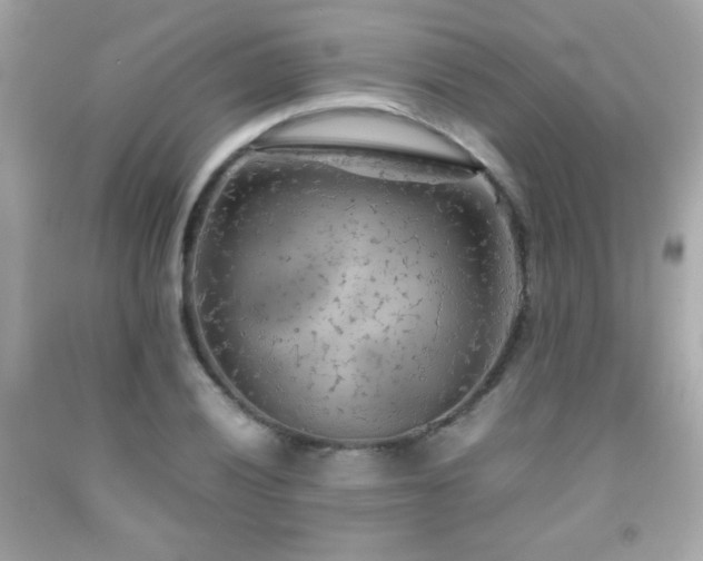 X0000092091028200709121508