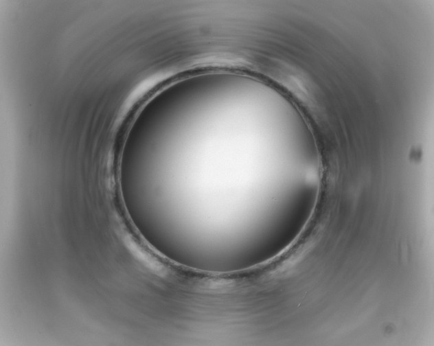 X0000092091030200709121508