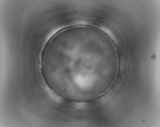 X0000092091031200709121508