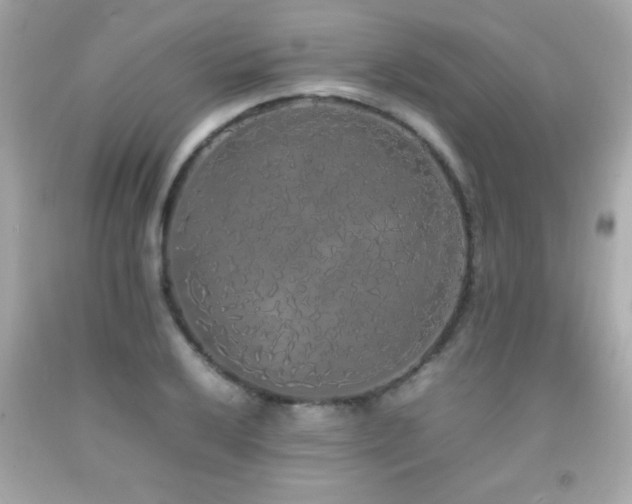 X0000092091032200709121508