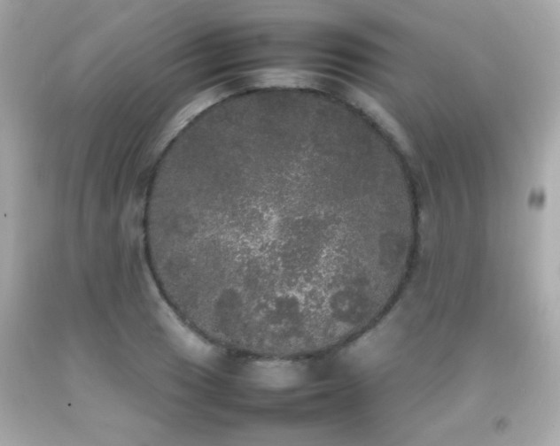 X0000092091033200709121508