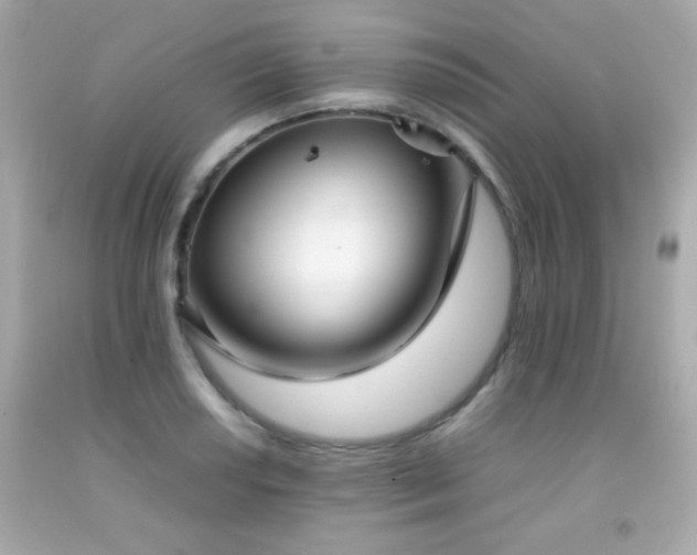 X0000092091034200709121508