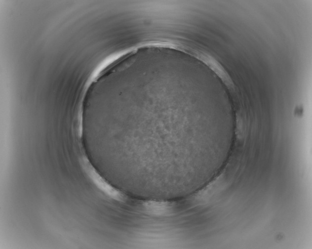 X0000092091036200709121508