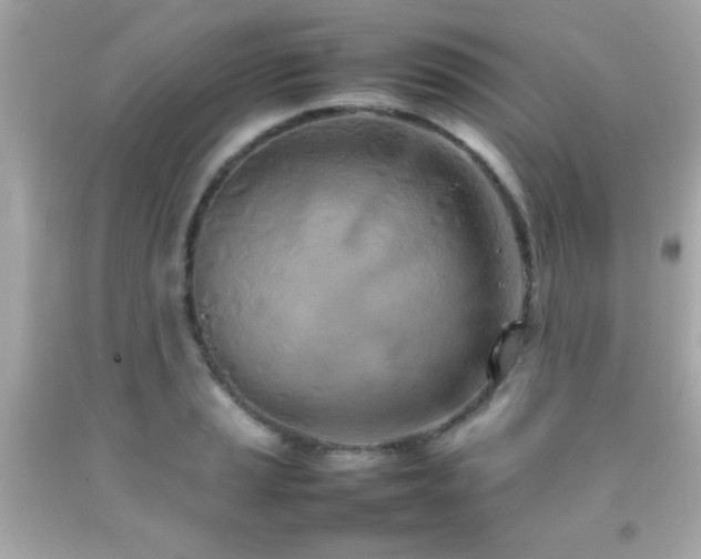X0000092091037200709121508