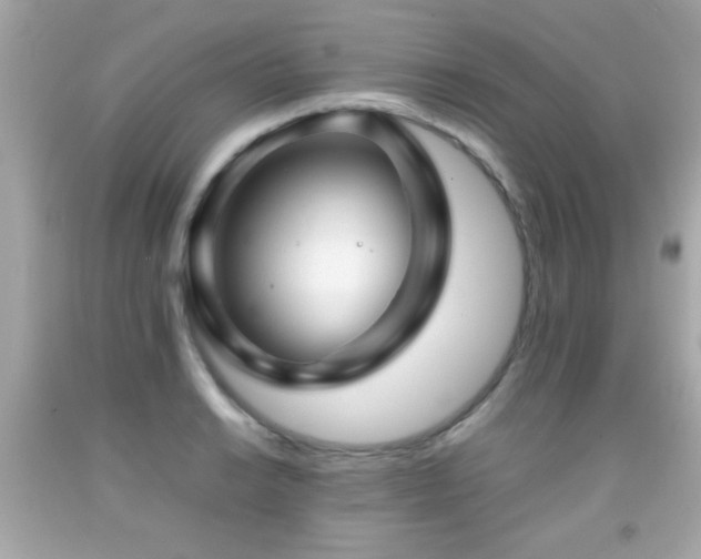 X0000092091038200709121508
