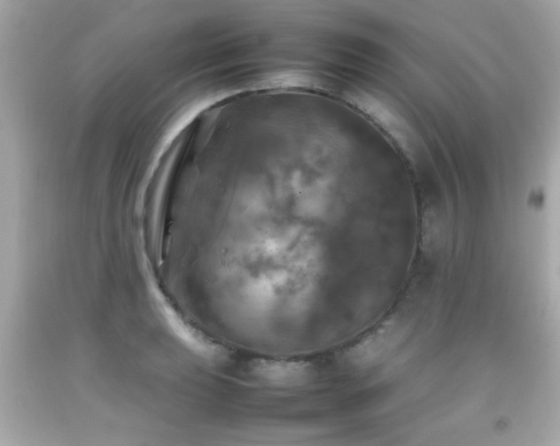 X0000092091039200709121508