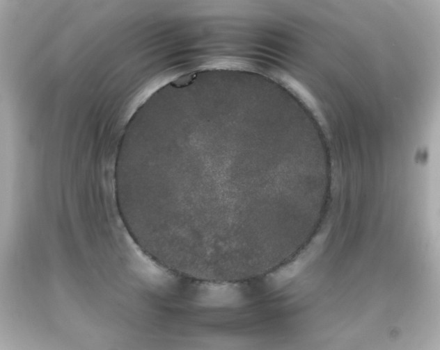 X0000092091041200709121508