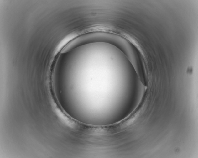 X0000092091042200709121508