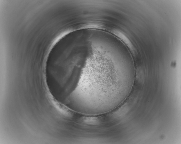 X0000092091043200709121508