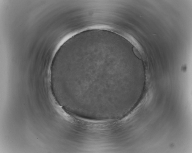 X0000092091044200709121508