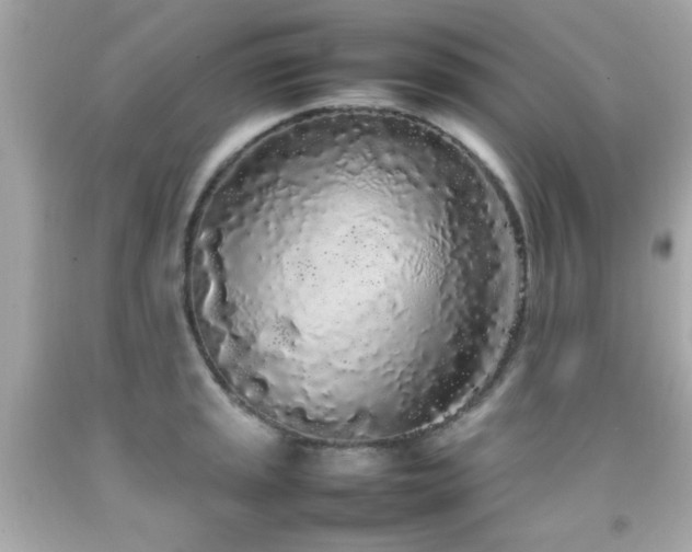 X0000092091045200709121508
