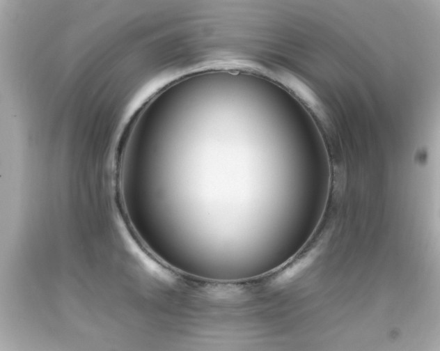 X0000092091046200709121508