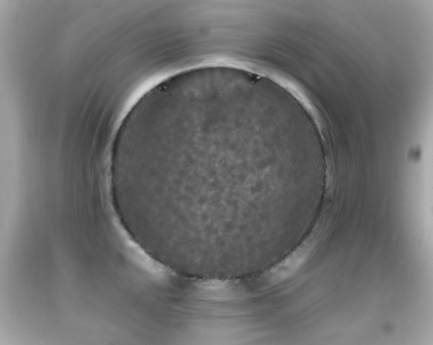 X0000092091048200709121508