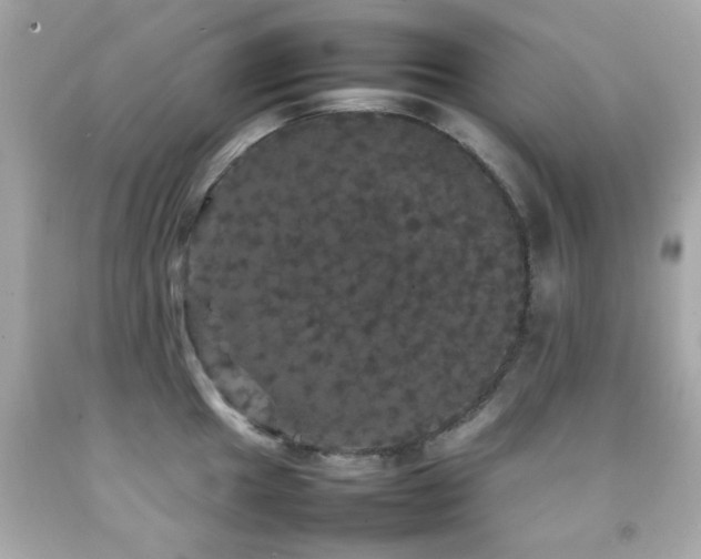 X0000092091049200709121508