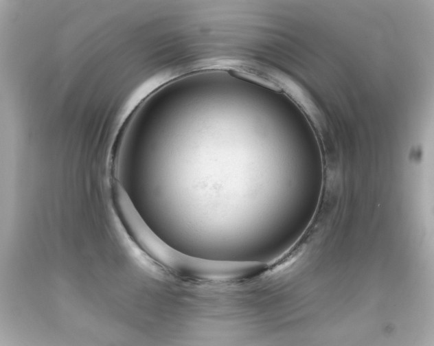 X0000092091050200709121508