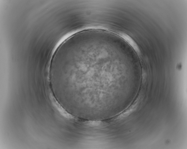 X0000092091052200709121508