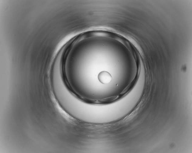 X0000092091054200709121509