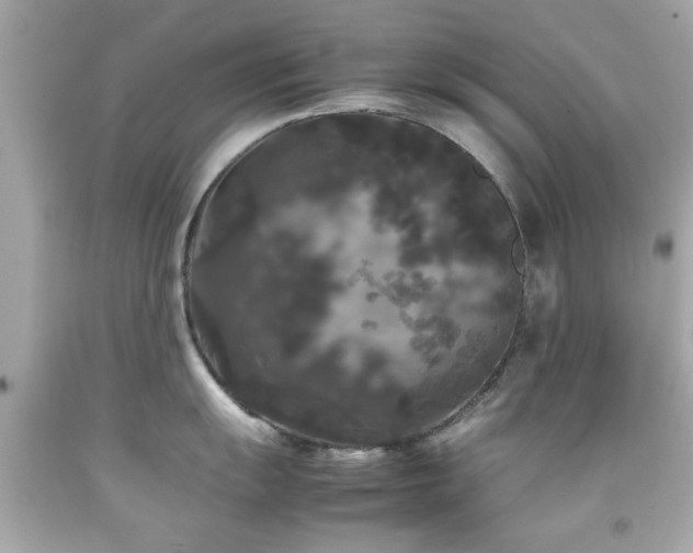 X0000092091055200709121509