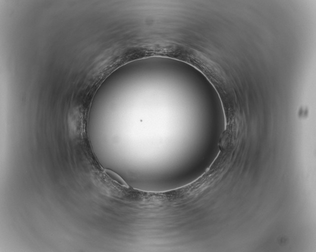 X0000092091058200709121508