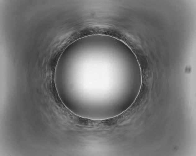 X0000092091061200709121508