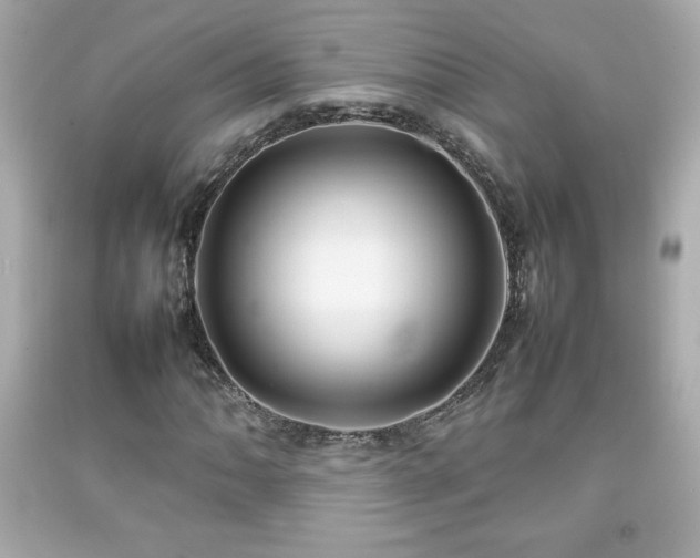 X0000092091062200709121508