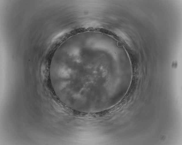 X0000092091063200709121508