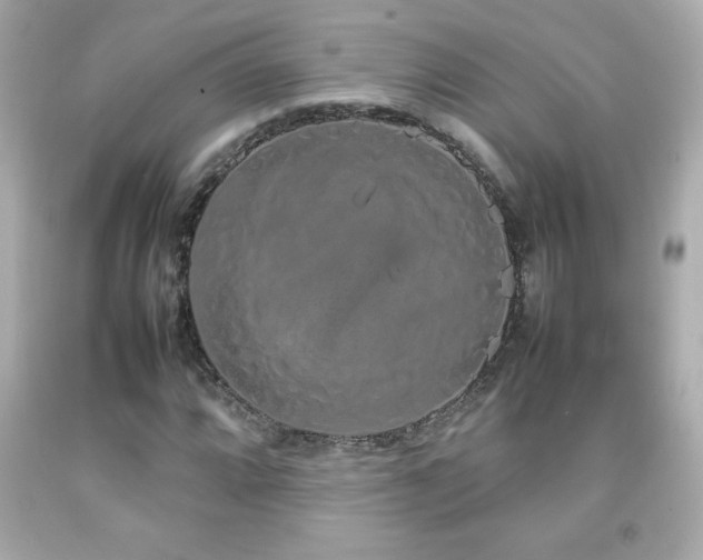 X0000092091064200709121508