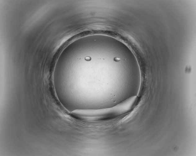 X0000092091065200709121508