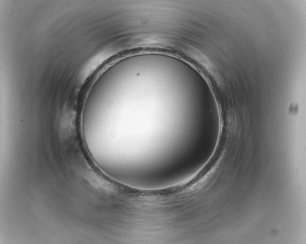 X0000092091066200709121508