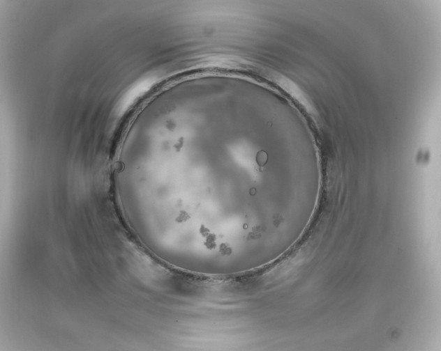 X0000092091067200709121508