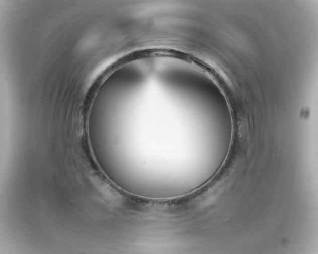 X0000092091069200709121508