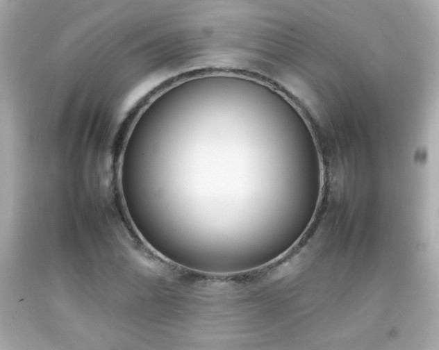 X0000092091070200709121508