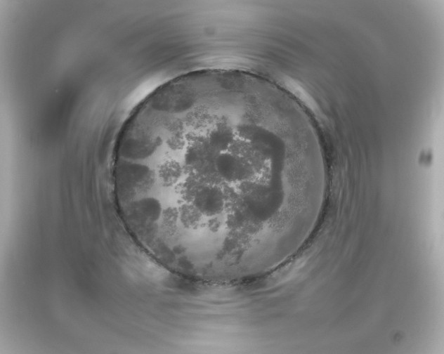 X0000092091071200709121508