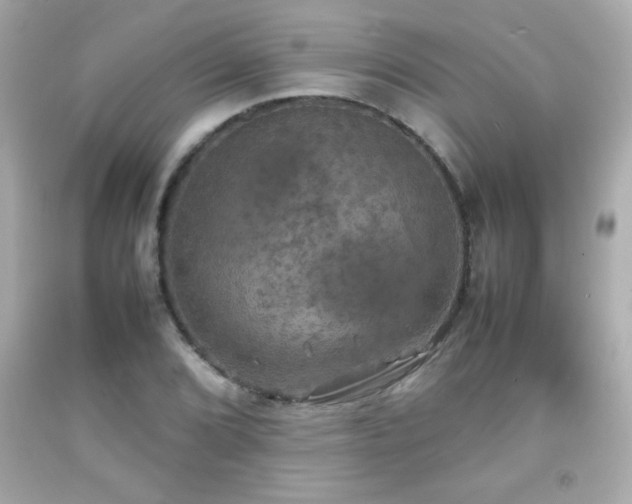 X0000092091072200709121508