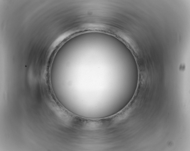 X0000092091074200709121508