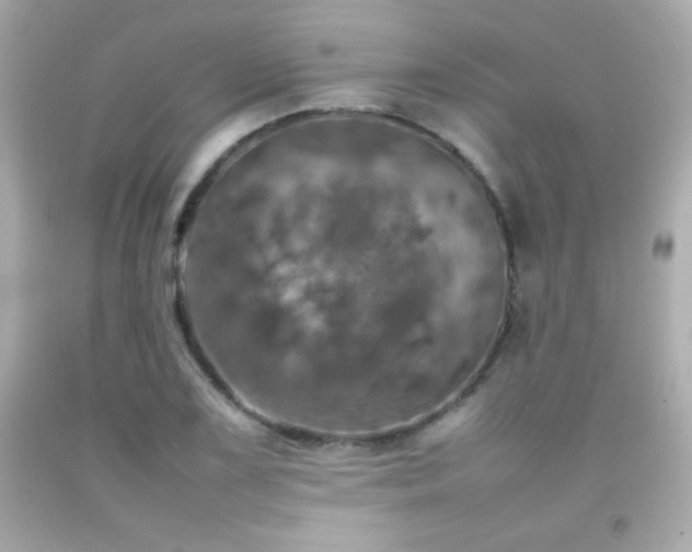 X0000092091075200709121508