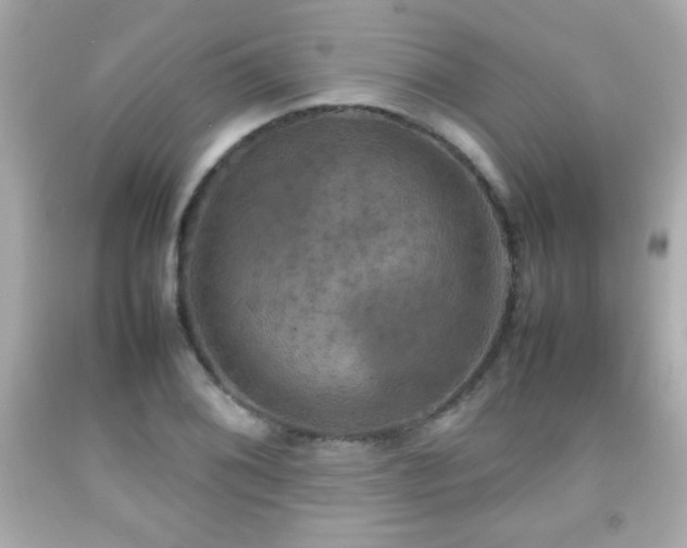 X0000092091076200709121508