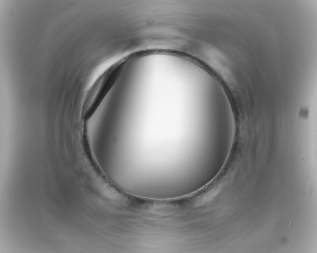 X0000092091077200709121508