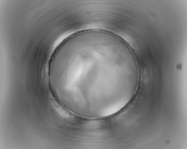 X0000092091078200709121508